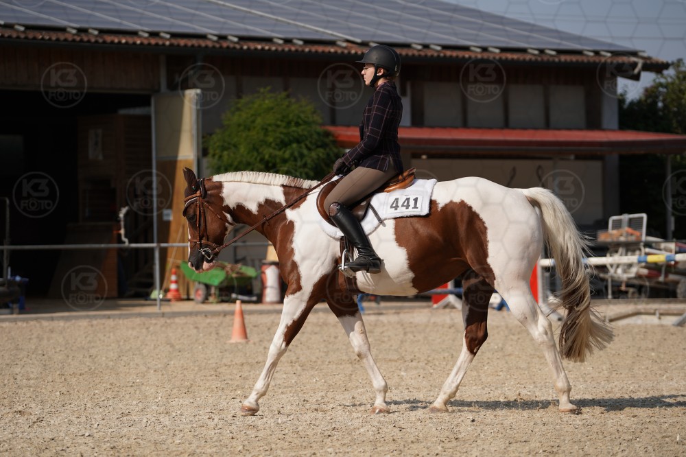 s_A_908950.JPG